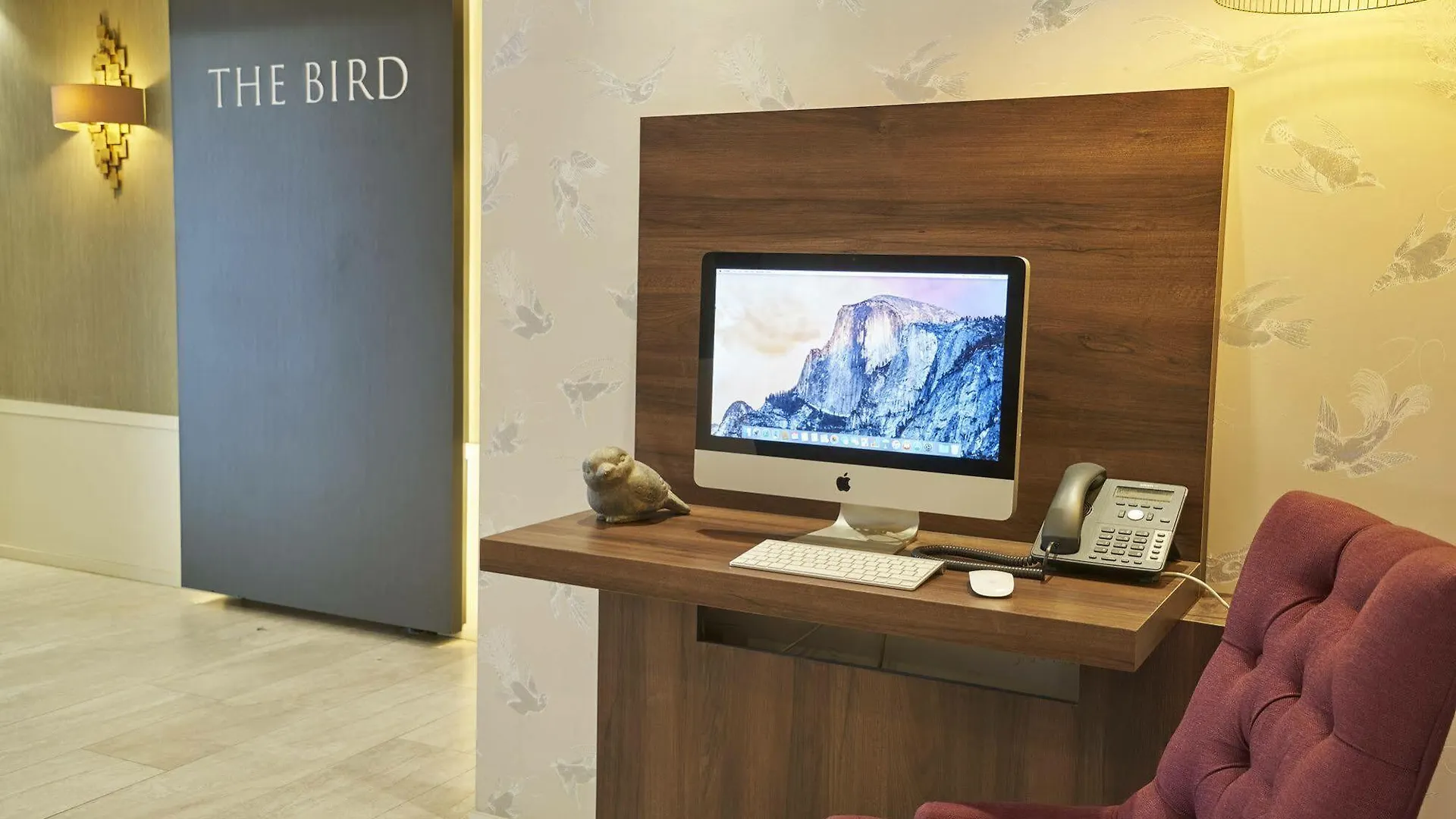 Hotel The Bird Ámsterdam