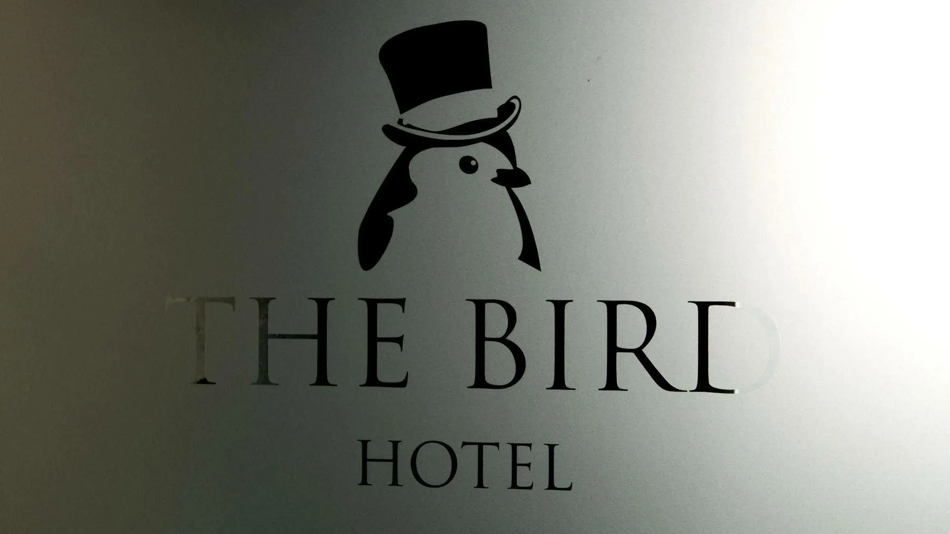 Hotel The Bird Ámsterdam